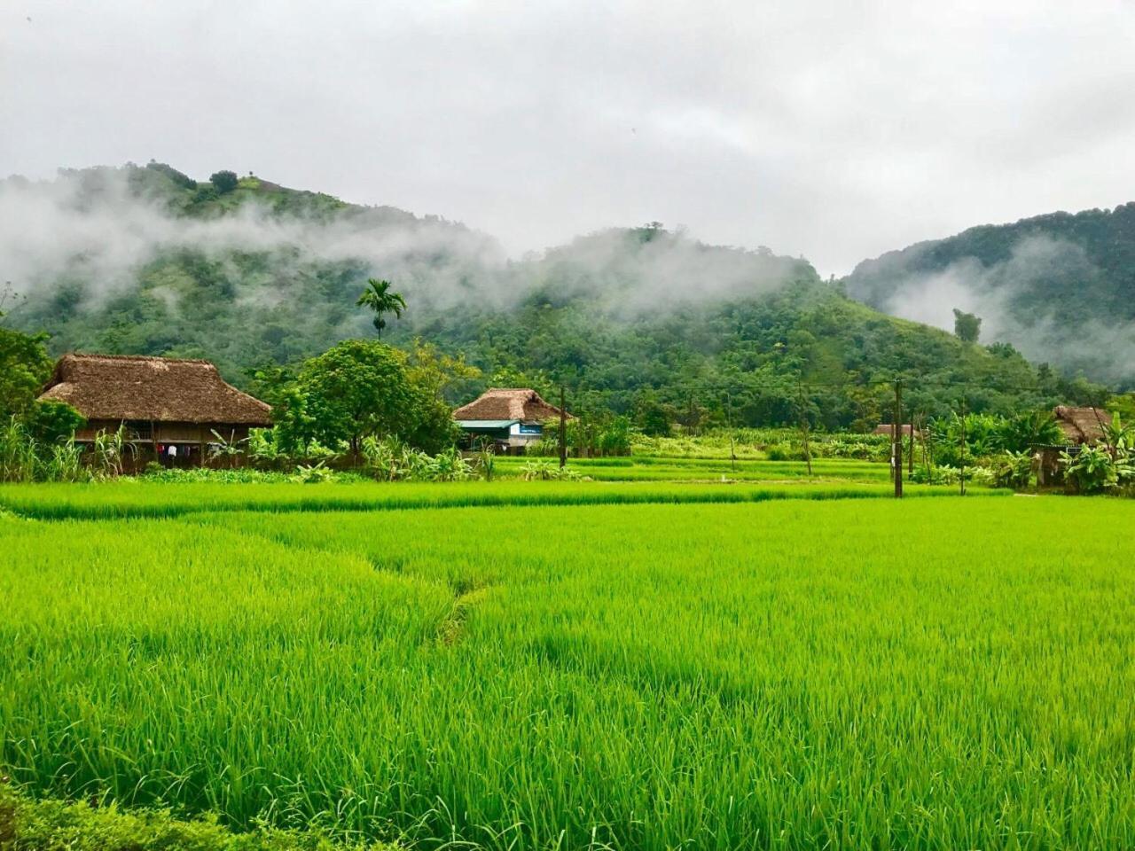 Xoi Farmstay - Eco Homestay Luc Yen Yen Bai Exteriér fotografie