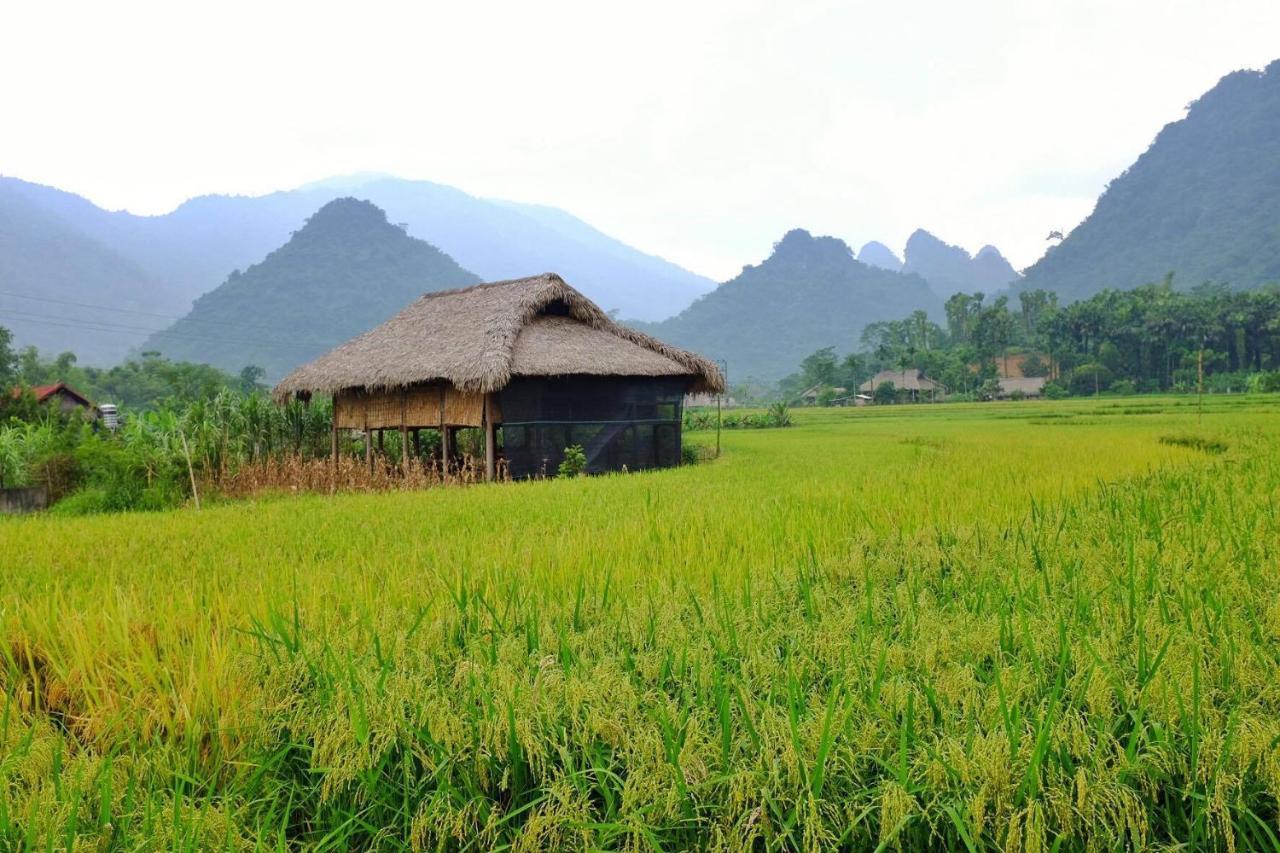 Xoi Farmstay - Eco Homestay Luc Yen Yen Bai Exteriér fotografie