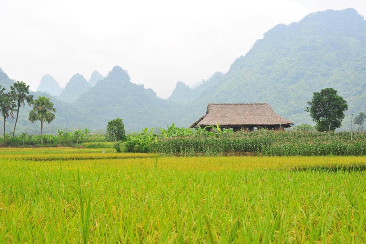 Xoi Farmstay - Eco Homestay Luc Yen Yen Bai Exteriér fotografie