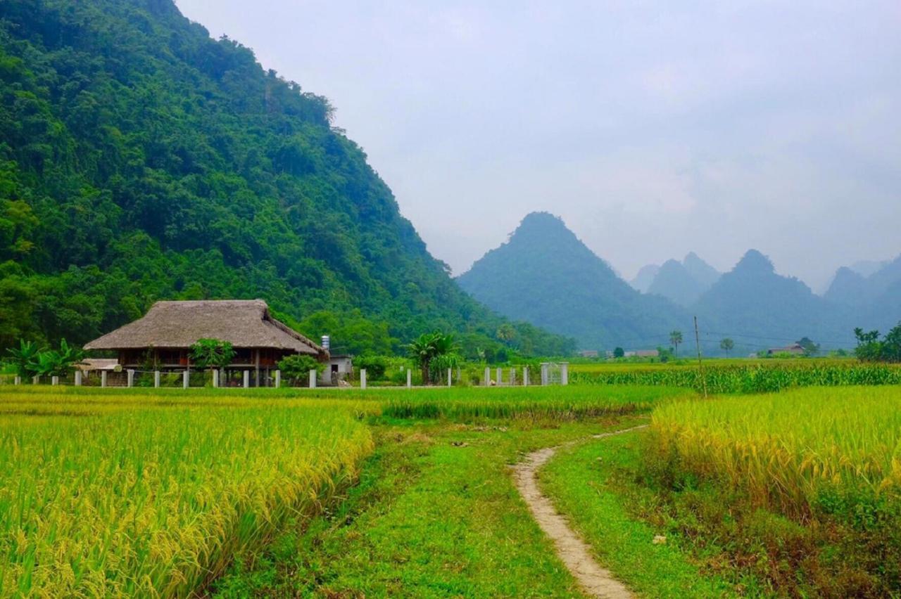 Xoi Farmstay - Eco Homestay Luc Yen Yen Bai Exteriér fotografie