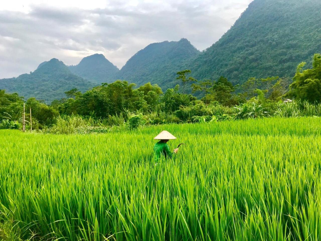 Xoi Farmstay - Eco Homestay Luc Yen Yen Bai Exteriér fotografie