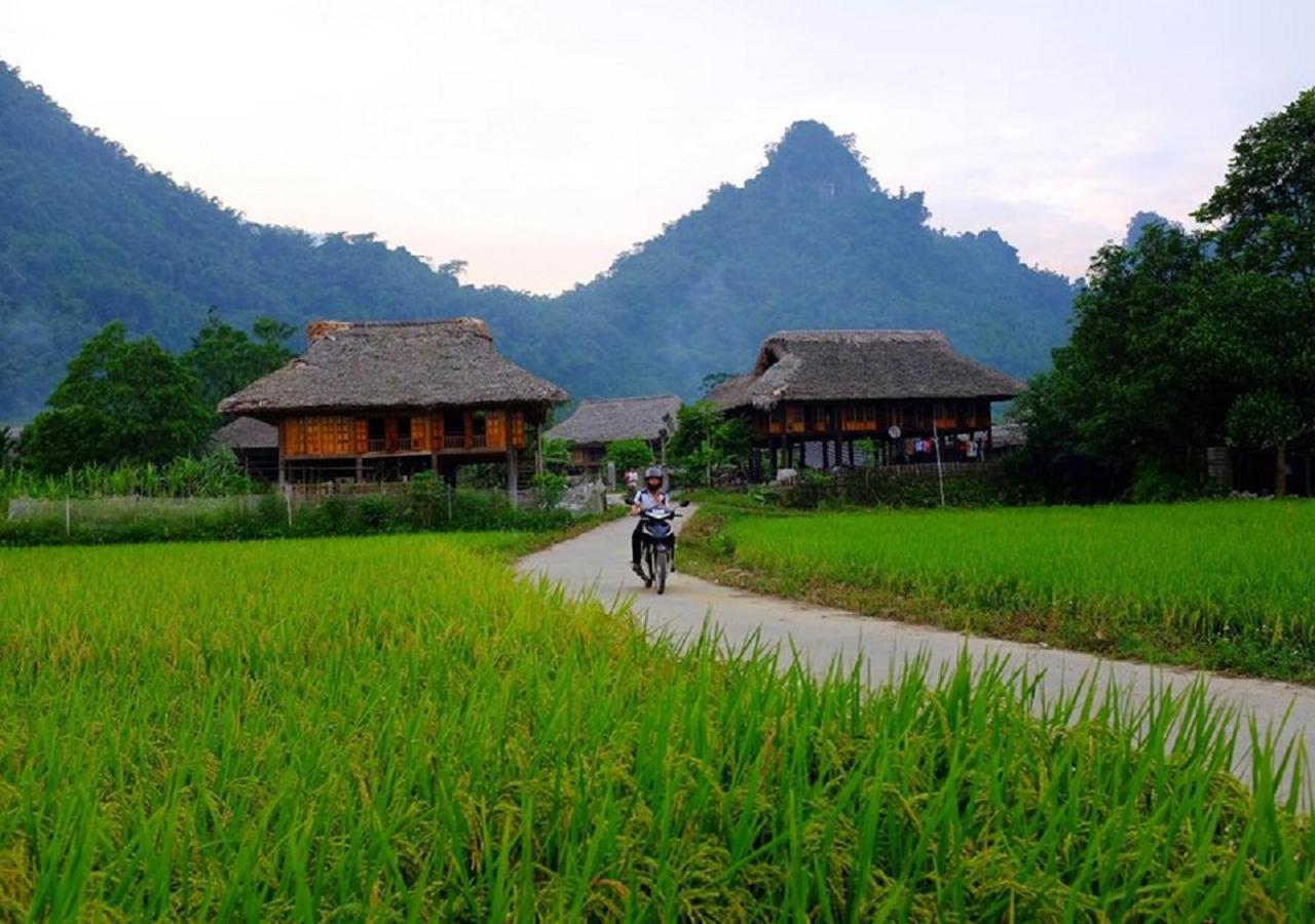 Xoi Farmstay - Eco Homestay Luc Yen Yen Bai Exteriér fotografie