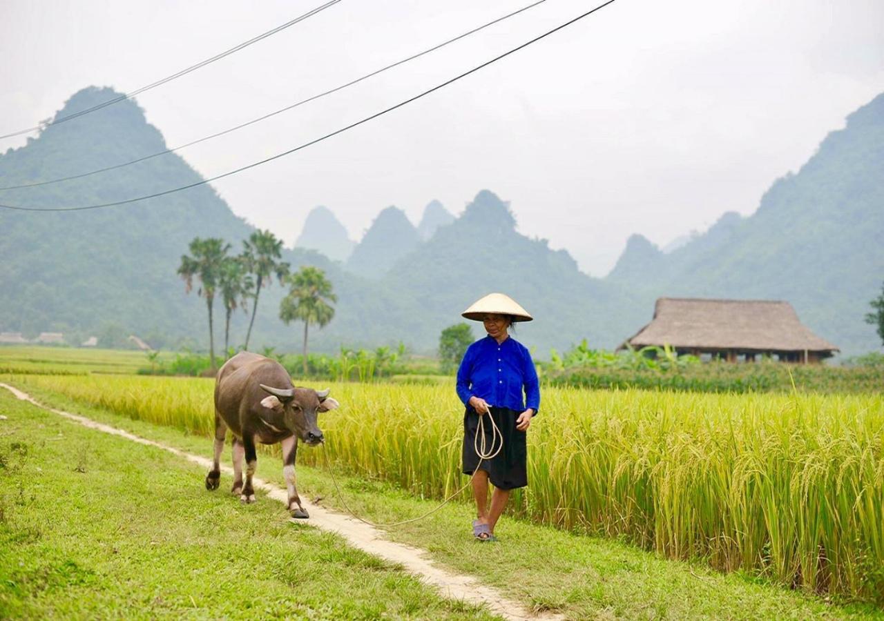 Xoi Farmstay - Eco Homestay Luc Yen Yen Bai Exteriér fotografie