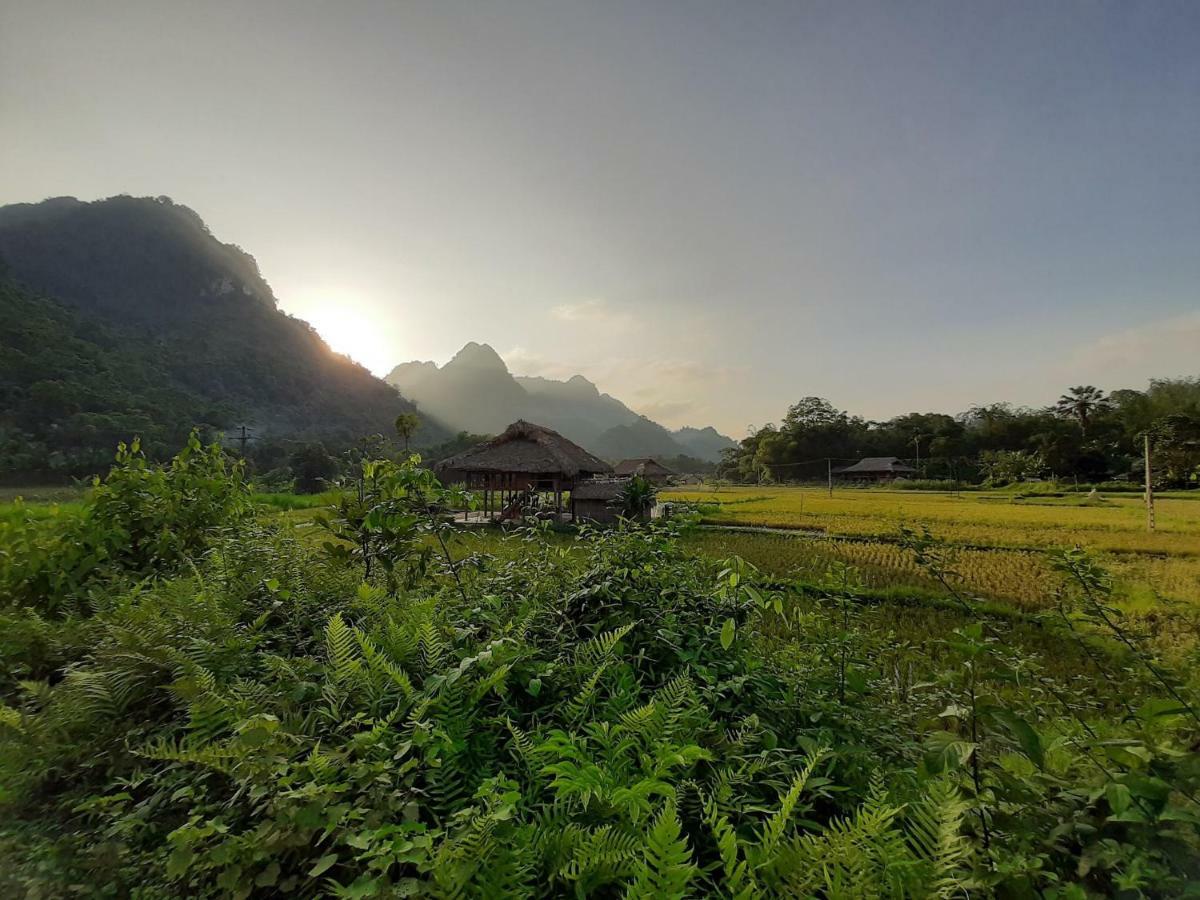 Xoi Farmstay - Eco Homestay Luc Yen Yen Bai Exteriér fotografie